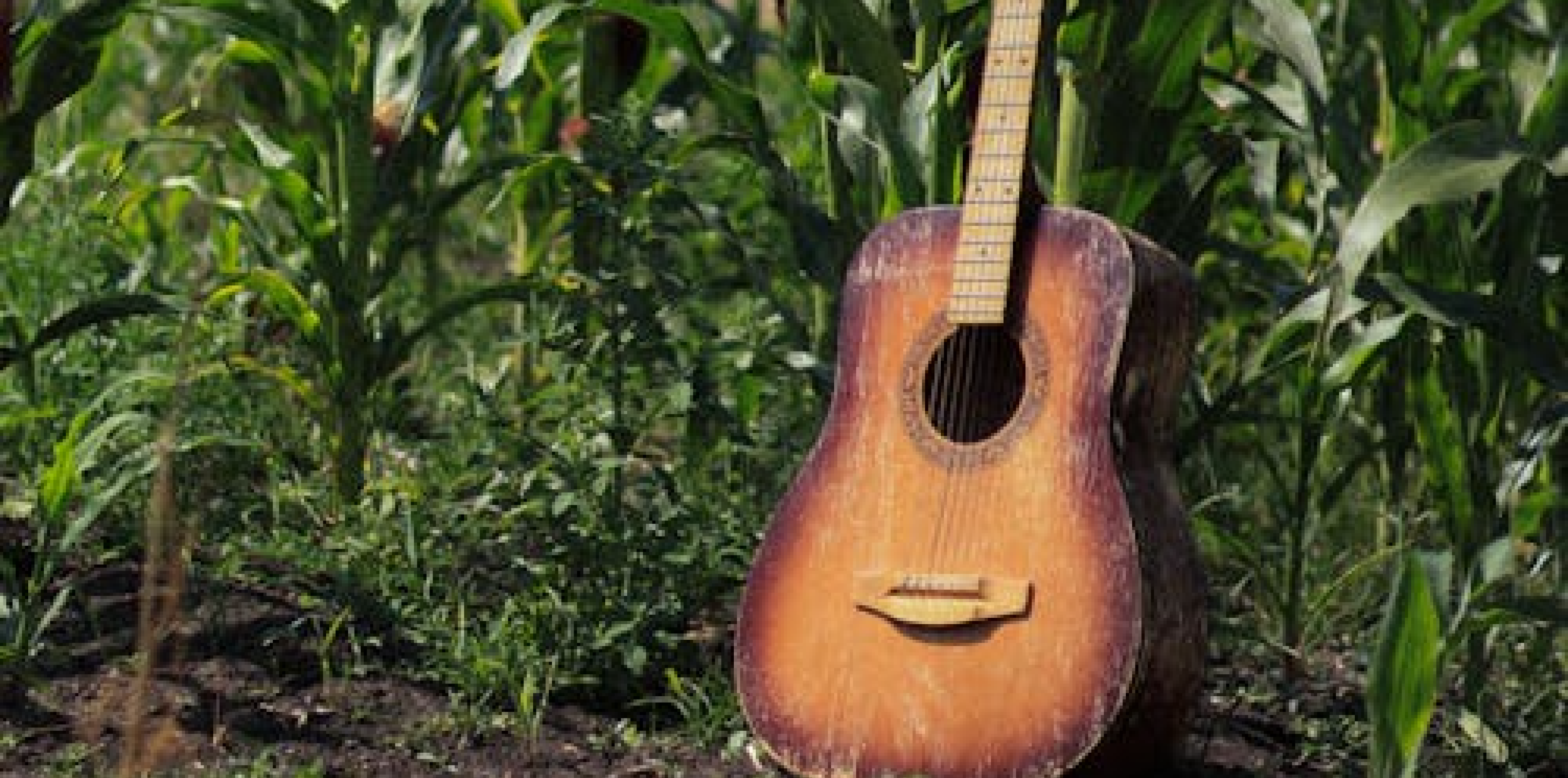 The Summer Country Show