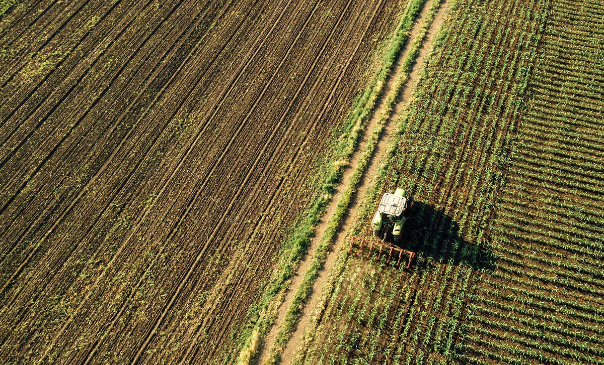 Tractor en campo