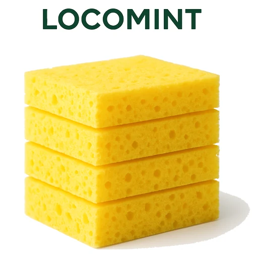 Sponge in Cleaning Housekeeping on Vobido