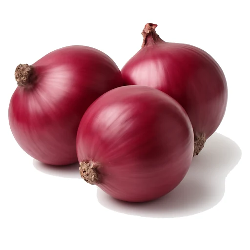 Onion in Fruits Vegetables on Vobido