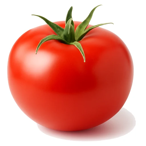 Tomato in Fruits Vegetables on Vobido
