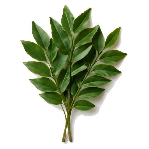 Curry Leaves in Fruits Vegetables on Vobido