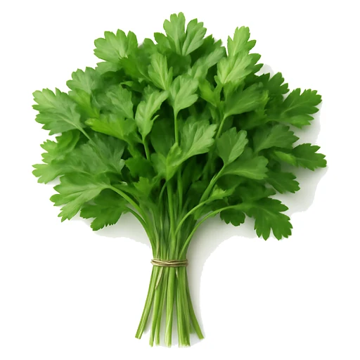 Parsley in Fruits Vegetables on Vobido