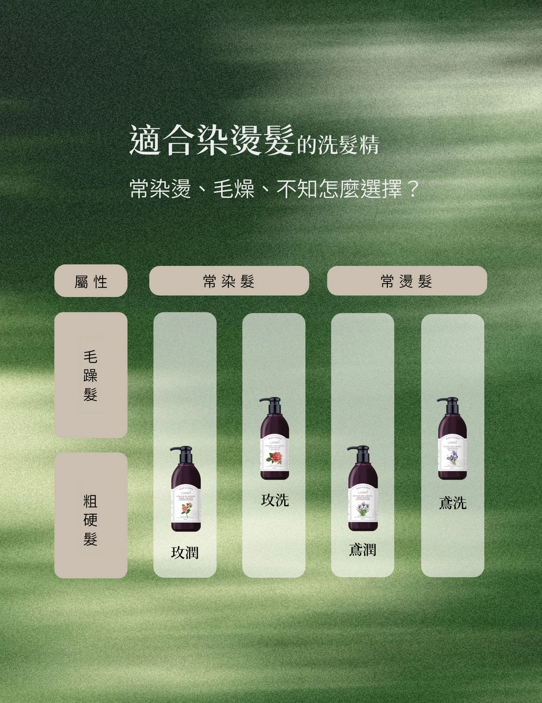 玫瑰與鳶尾花洗潤系列的染燙髮搭配圖