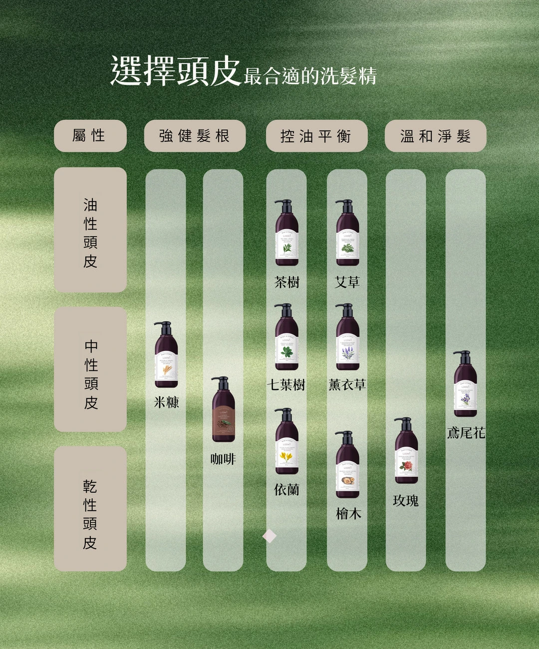 依油性、中性與乾性頭皮選擇洗髮精