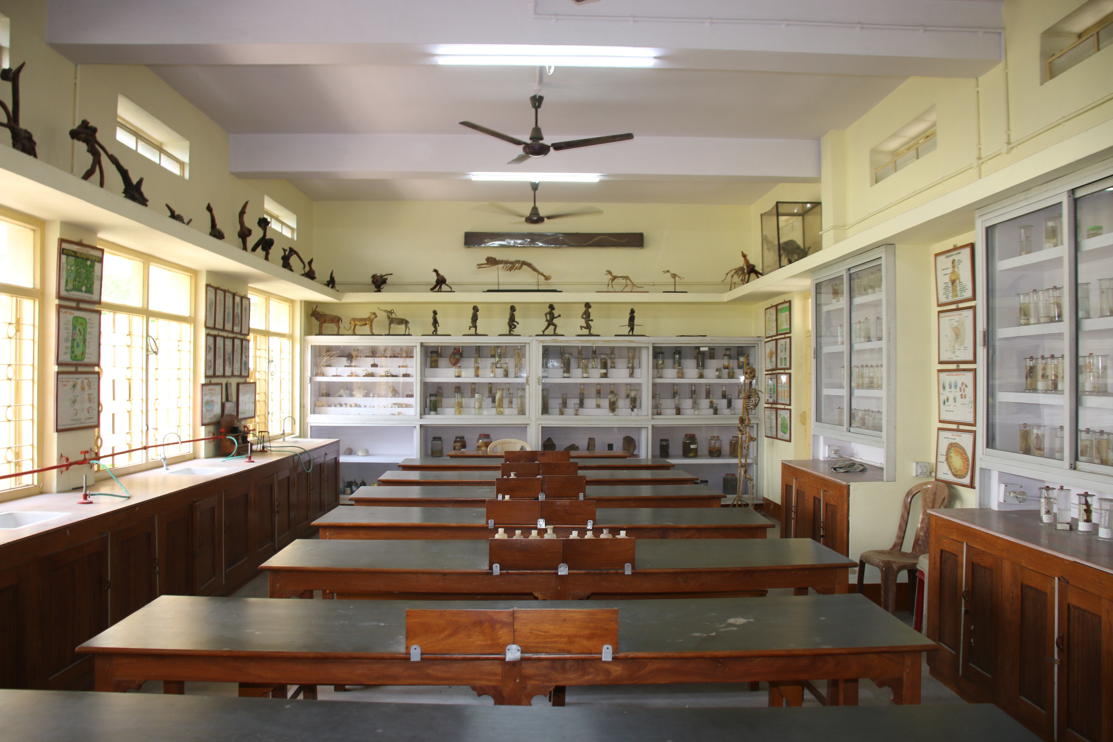 🔬 Biology Laboratory – Where Curiosity Meets Discovery