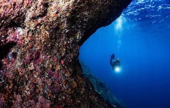 Fun Dive 3 Boat Dives (Crystal Rock, Komodo Island, Manta Point)
