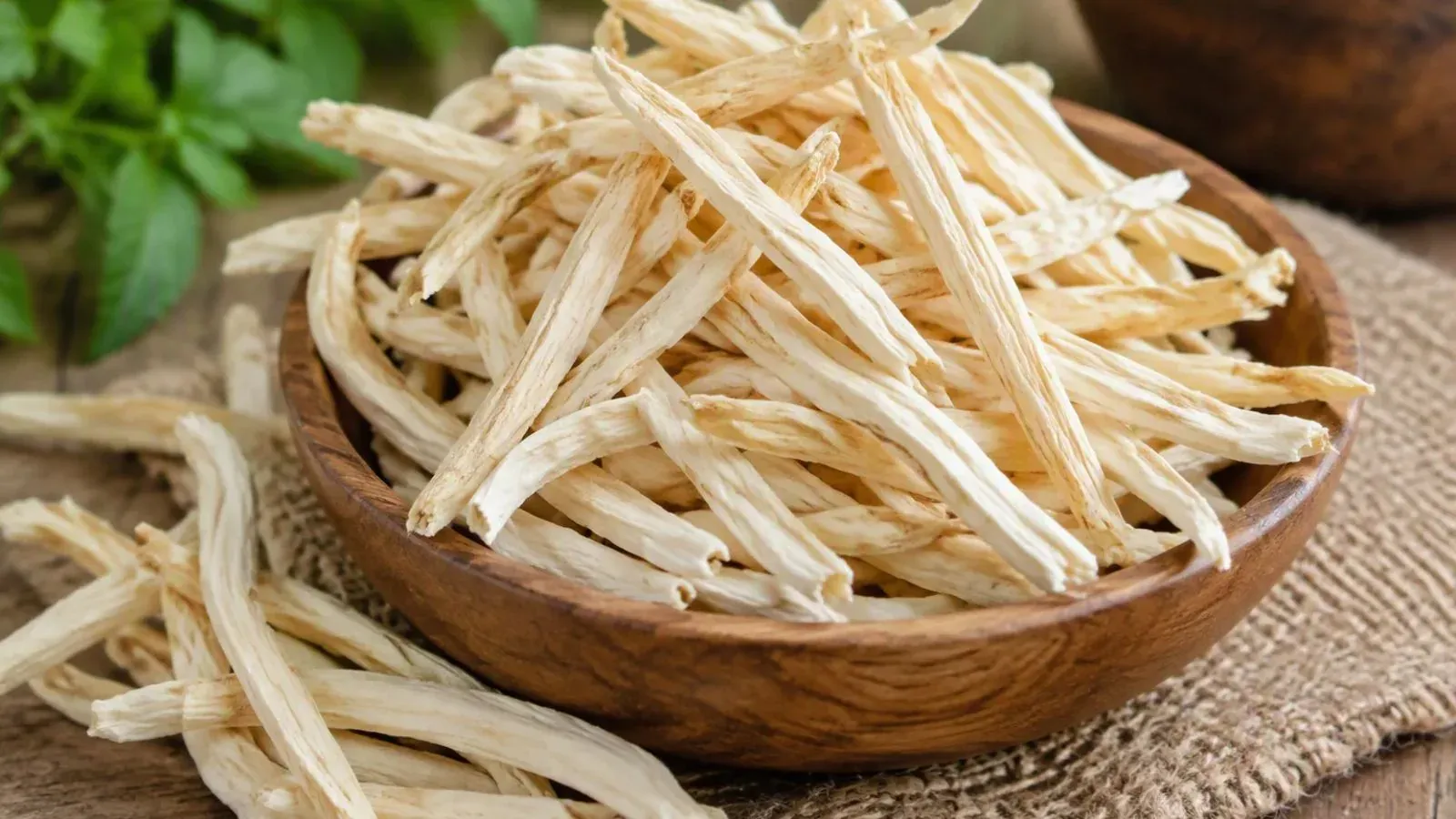 Top 5 Health Benefits of Safed Musli; know How To Consume It