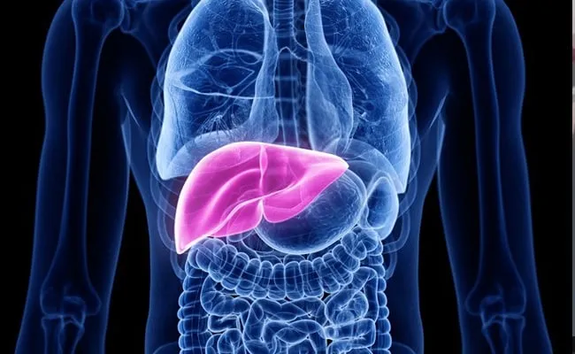 From Fibrosis to Cirrhosis; Know The Stage Of Progressive Liver Damage