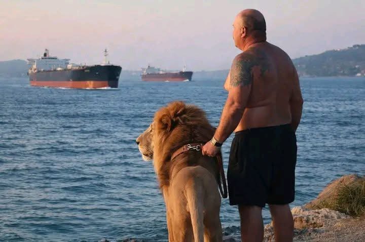 Nutu Camataru pazind stamtoarea Ormuz...