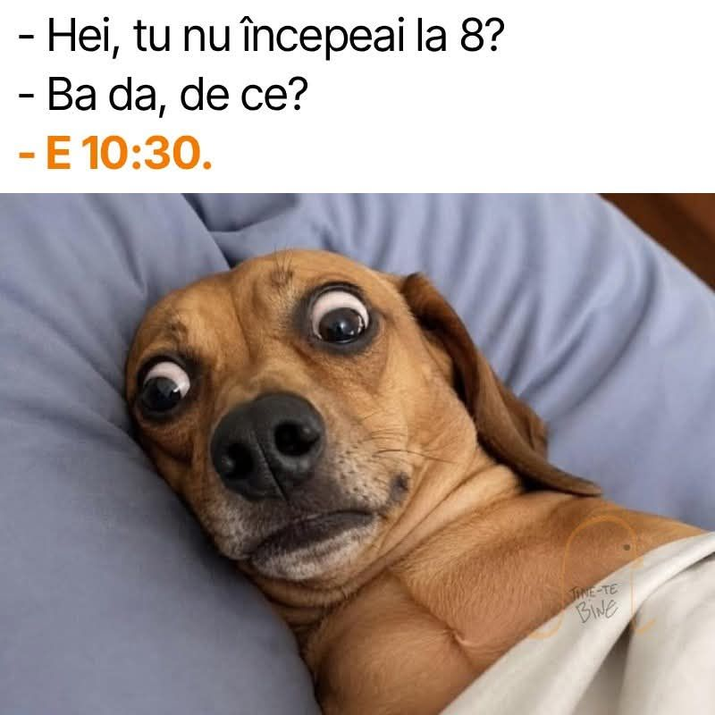 Tu nu incepeai la 8?