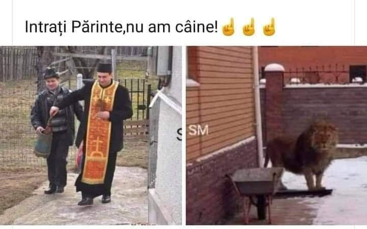 Intrati Parinte, nu am caine