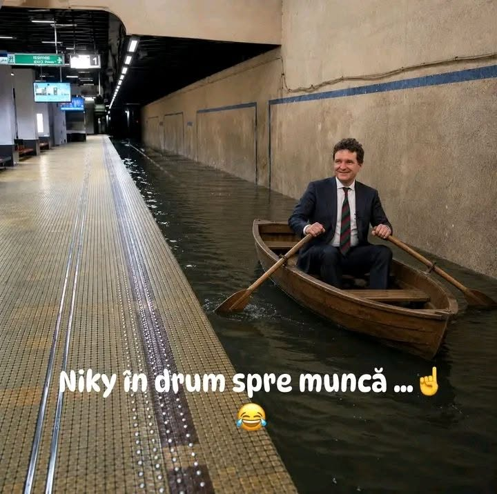 Niky in drum spre munca