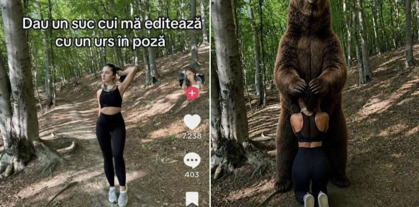 Dau un suc cui ma editeaza cu un urs in poza