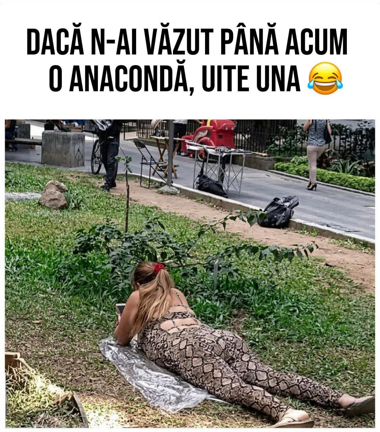 Daca n-ati vazut pana acum