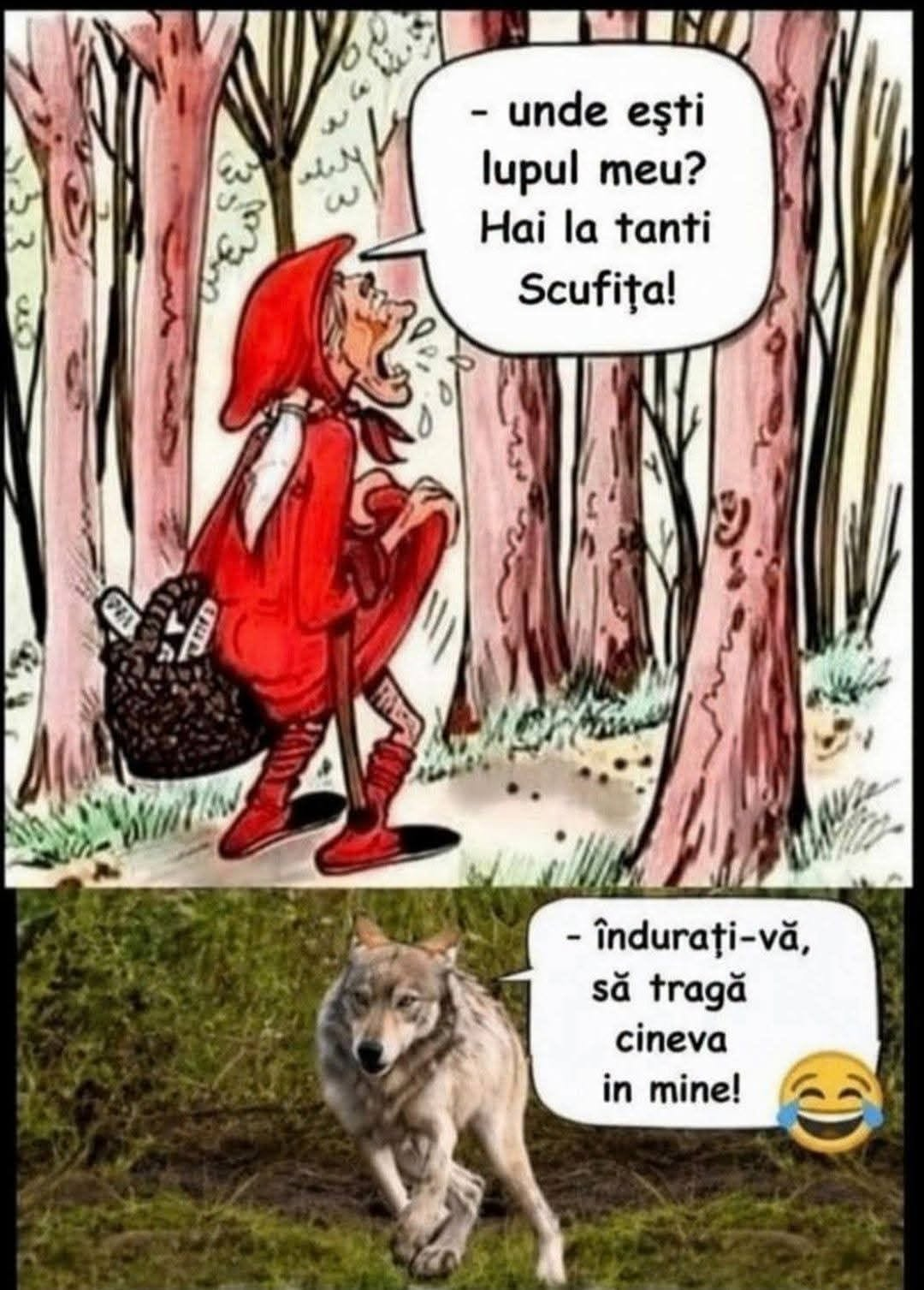 Unde esti lupul meu?