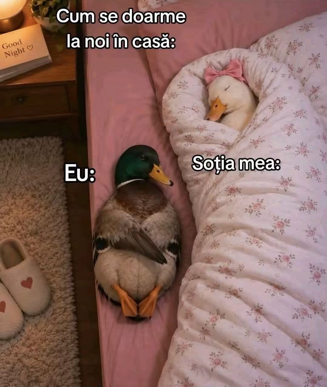 Cum se doarme la noi in casa