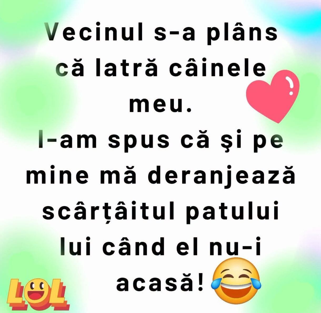 Vecinul s-a plâns că latră câinele meu