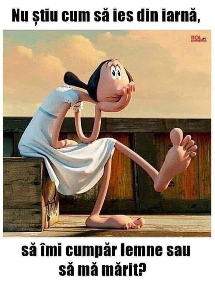 Să îmi cumpăr lemne sau să mă mărit?