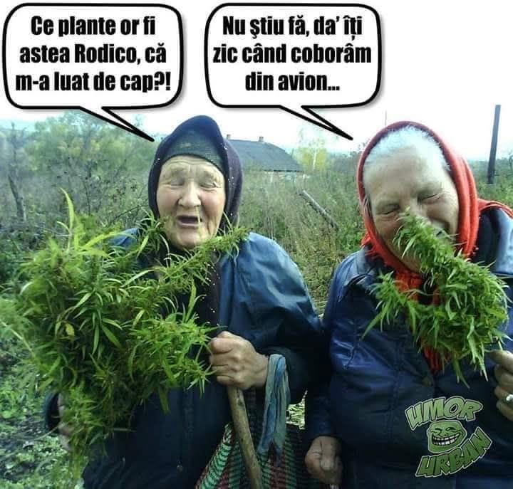 Nu știu, fă, da' îți zic când coborâm din avion