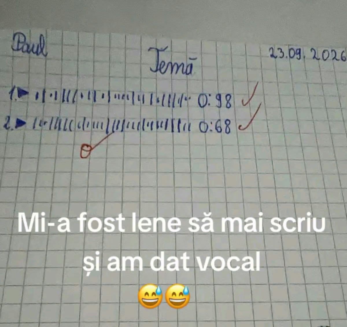 Mi-a fost lene să mai scriu și am dat vocal