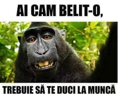 Ai cam belit-o, trebuie să te duci la muncă