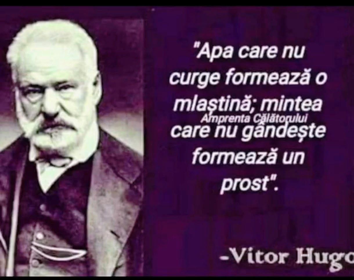 Apa care nu curge formează o mlaștină