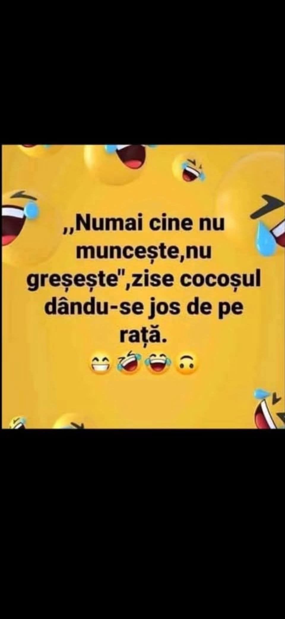 Numai cine nu muncește nu greșește, zise cocoșul dându-se jos de pe rață