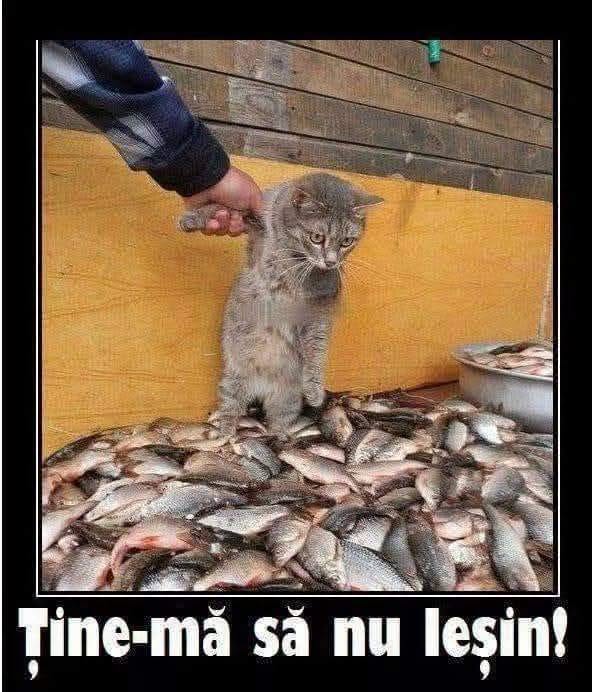 Ține-mă să nu leșin!