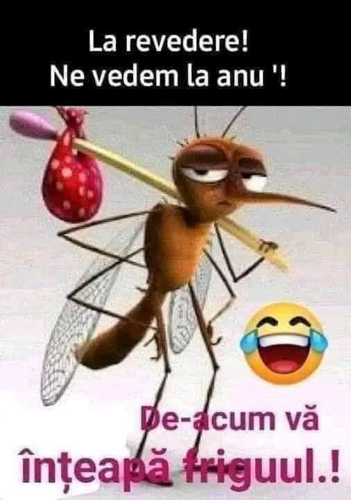 La revedere! De acum vă înțeapă frigul