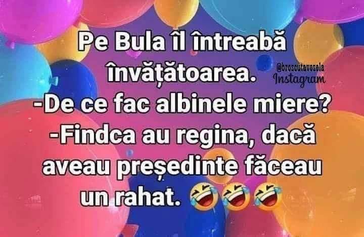 Bulă, de ce fac albinele miere?