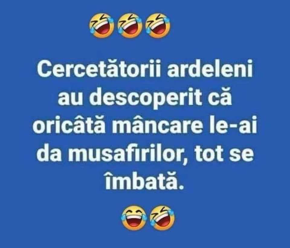Cercetătorii ardeleni au descoperit că musafirii tot se îmbată