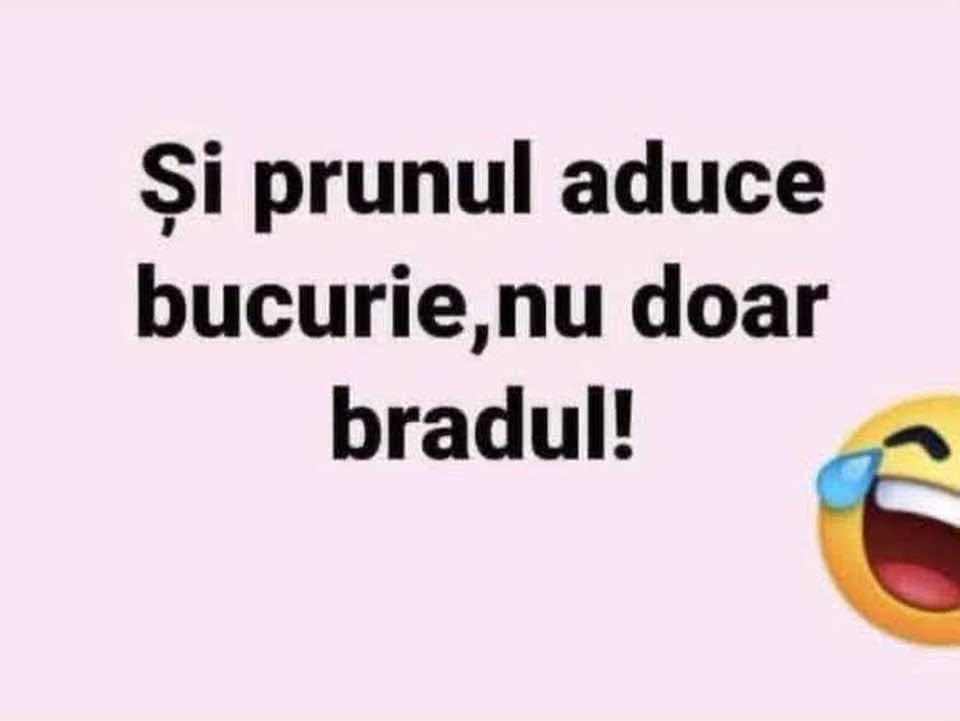 Și prunul aduce bucurie, nu doar bradul