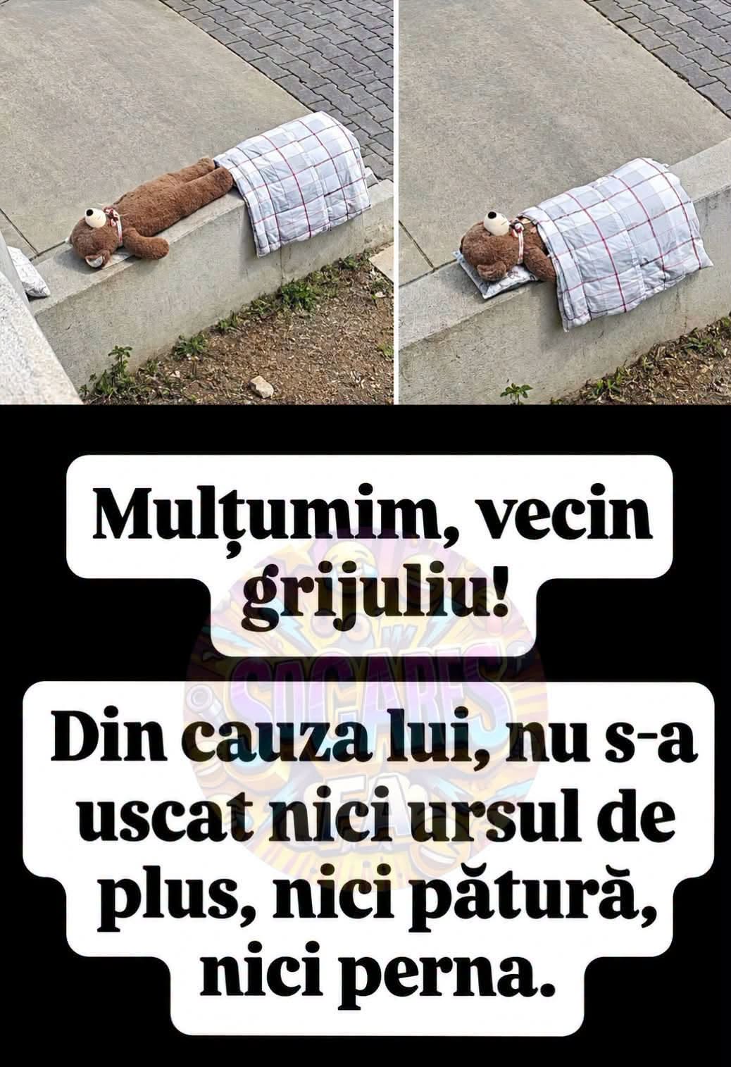 Mulțumim, vecin grijuliu!