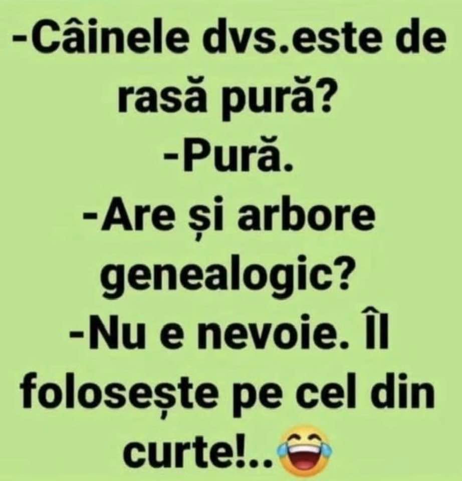 Câinele dvs. e de rasă pură? Are și arbore genealogic?
