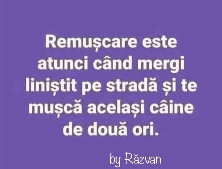 Remușcare e când te mușcă același câine de două ori