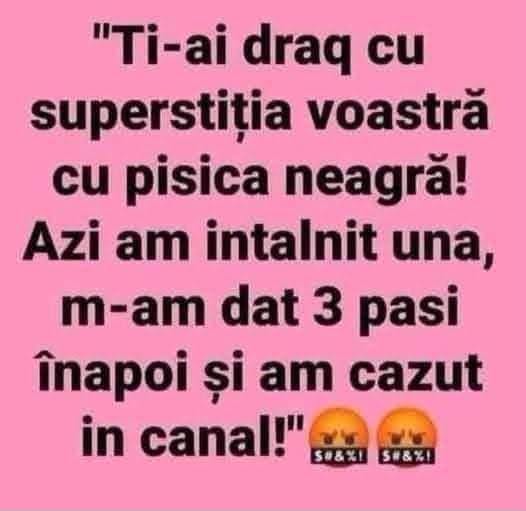 M-am dat 3 pași înapoi de la pisica neagră și am căzut în canal