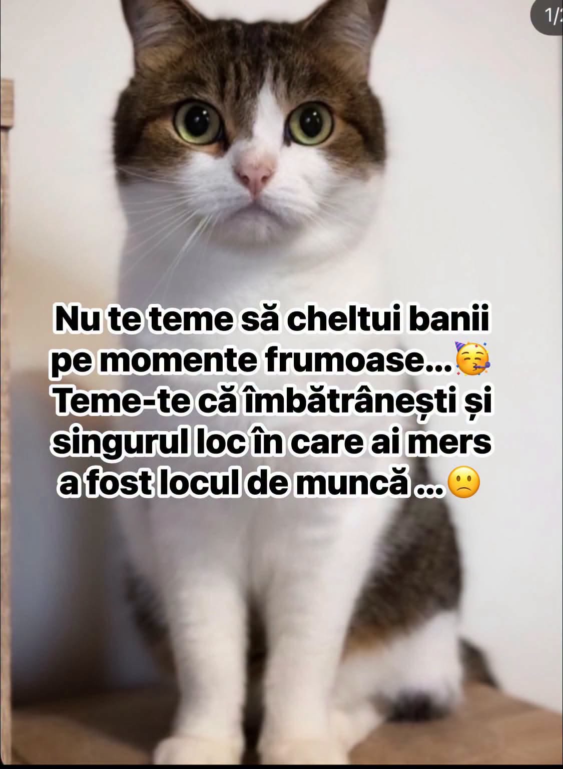 Nu te teme să cheltui bani pe momente frumoase