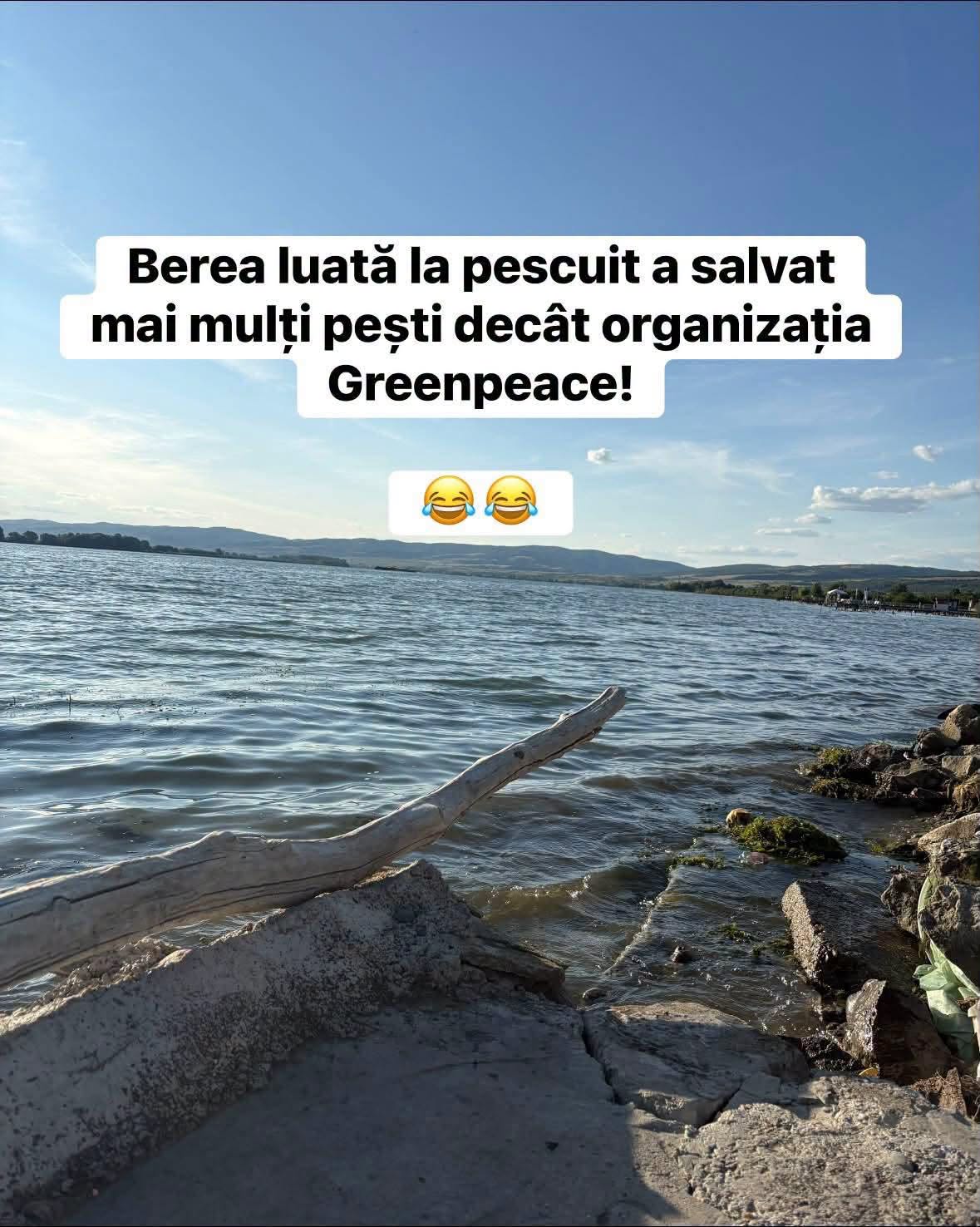 Berea luată la pescuit a salvat mai mulți pești decât Greenpeace