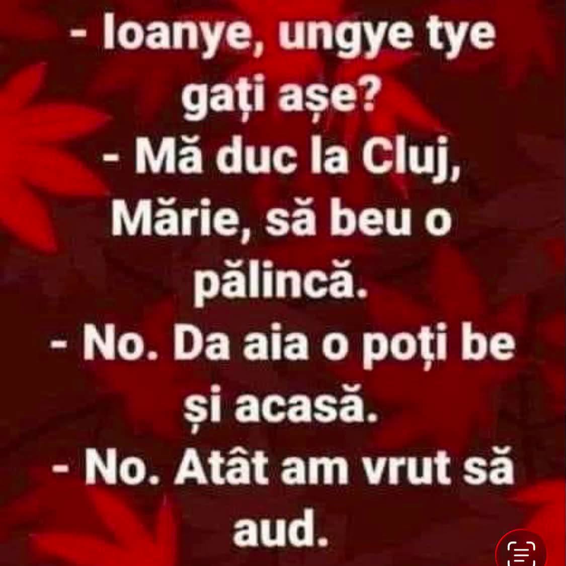Ioane, unde te gați? Mă duc la Cluj să beau o pălincă