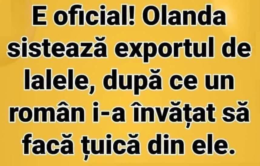 Olanda sistează exportul de lalele după ce un român a făcut țuică din ele