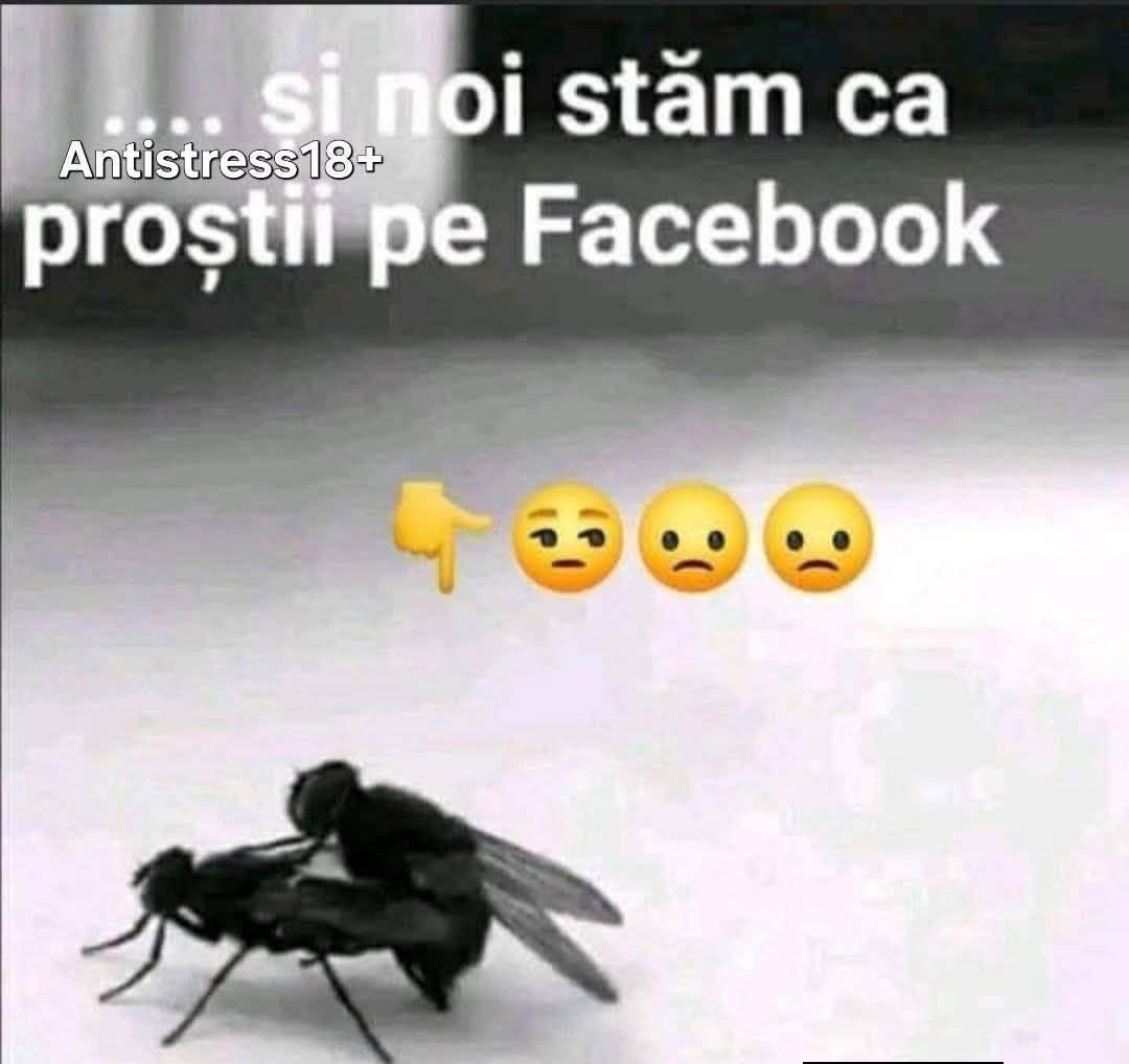 ...și noi stăm ca proștii pe Facebook