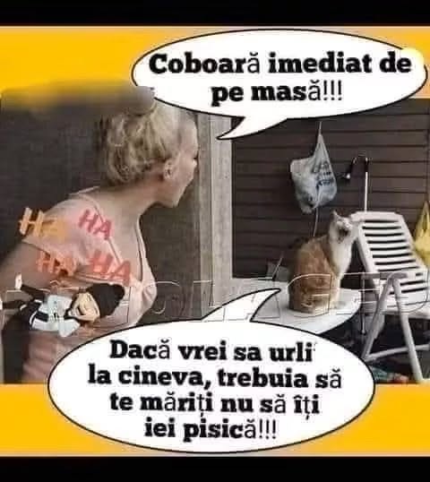 Dacă vrei să urli la cineva, trebuie să te măriți, nu să-ți iei pisică