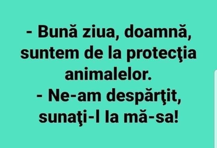 Bună ziua, suntem de la protecția animalelor