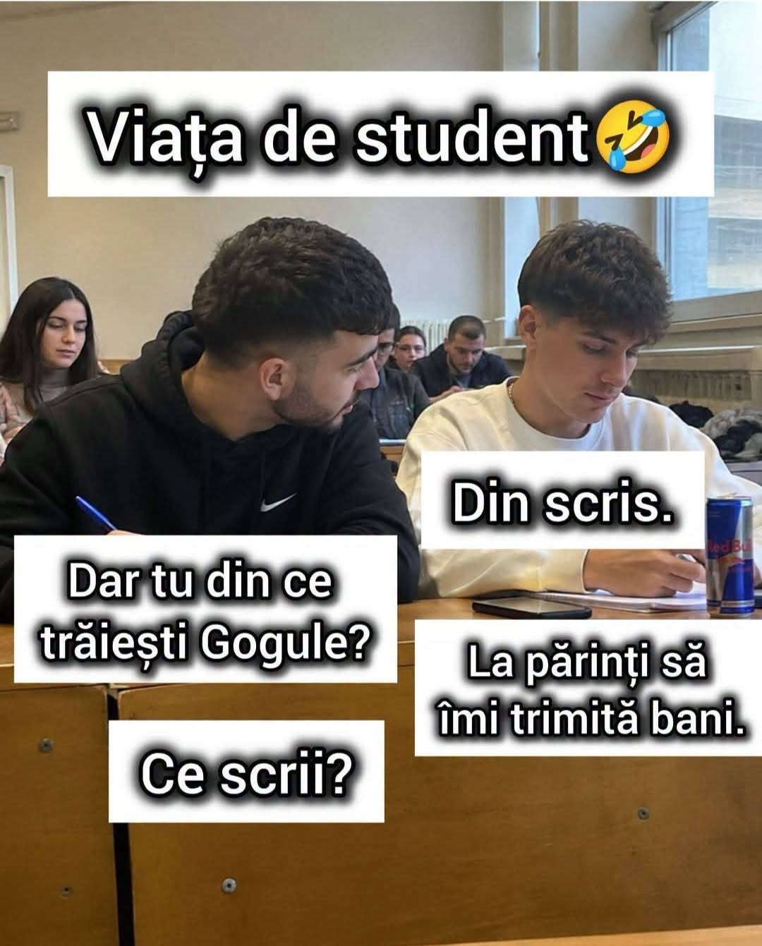 Viața de student