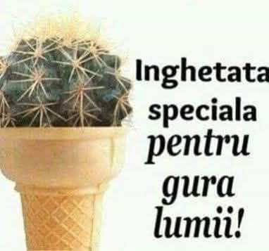 Înghețată specială pentru gura lumii