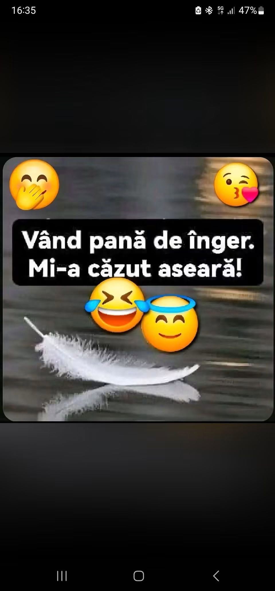 Văd pană de înger. Mi-a căzut aseară