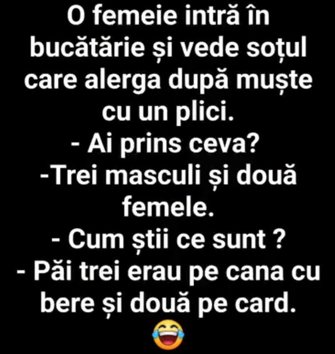 O femeie își vede soțul alergând după muște: trei masculi și două femele