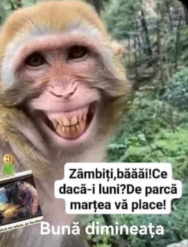 Zâmbiți, băăă! Ce dacă-i luni?