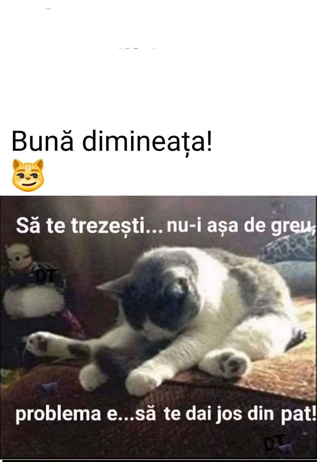 Să te trezești nu-i așa de greu, problema e să te dai jos din pat